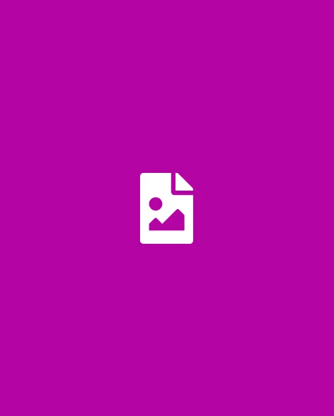 Bacon ipsum dolor amet ball tip brisket tongue 1