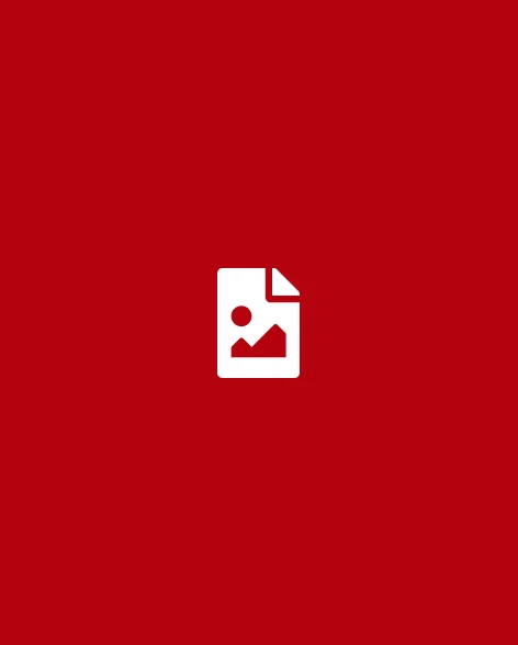 Bacon ipsum dolor amet ball tip brisket tongue 3