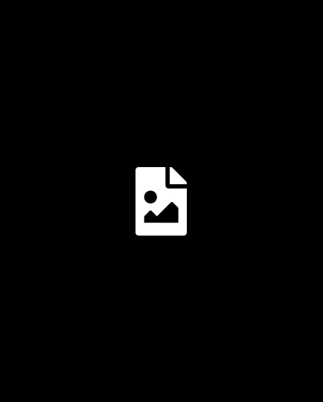 Bacon ipsum dolor amet ball tip brisket tongue 2